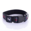 Jeans Dog Collar Embroidered Leather Dog Bone Choker Leash - Image 3