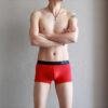 Slim Men's Boxer Briefs In Summer - Image 4