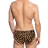 Classic Leopard Swimming Briefs For Men - Image 2