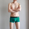 Slim Men's Boxer Briefs In Summer - Image 2