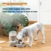 Utility Automatic Drinking Water Dispenser Detachable Bottle with Dish Feeder for Cats and Dogs， Random Color Delivery - Image 6