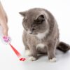 Pet Projection Toy USB Rechargeable LED Pattern Projector Cat Teaser - Image 7