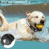For AirTag Dog Collar LED Waterproof Quick Release Collar, S, M, L - Image 4