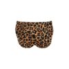 Classic Leopard Swimming Briefs For Men - Image 4