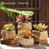Stoneware Small Stone Succulent Plant Ceramic Flower Pot - Image 9