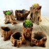Creative Retro Wooden Pile Root Flowerpot - Image 3
