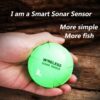 Fish Finder Wireless Mobile Phone Sonar Fish Finder APP Underwater Fish Finder Fishing Fishing Gear, APP Underwater Fish Finder, 2 - Image 4