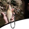 HENGJIA FH032 3-12# Outdoor Fishing Single Hook With Ring, 500pcs / Box - Image 8