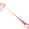 HENGJIA 6pcs / Box Outdoor Fishing Floating Soft Bait 8cm-5g Bionic False Lure, 1#, 2#, 3#, 4#, 5#, 6# - Image 4