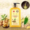 Ginger Shampoo Ginger King Refreshing Anti-dandruff Conditioner Ginger Juice Shampoo Shampoo and Conditioner - Image 2